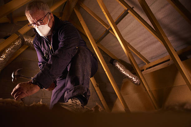 Best Insulation Maintenance and Repair in Franklin, NC
